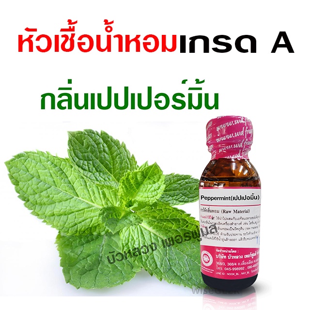 หัวเชื้อน้ำหอม แท้ 100 % กลิ่นเปปเปอร์มิ้น 30 ml. อโรม่า สปา {{ พร้อมส่ง }} 🚚🚚 - Bualuang Perfume