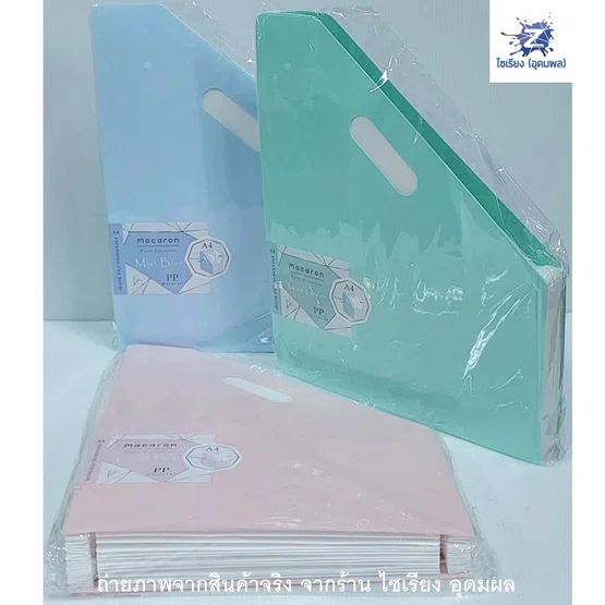 Deli B41102 แฟ้มตั้งโต๊ะ 13 ช่อง สีพาสเทลขนาด A4