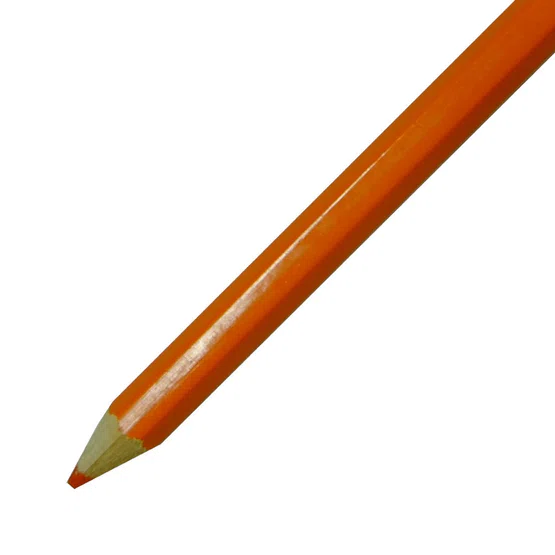 สีไม้ยาว 24 สี ตราม้า Coloured Pencils