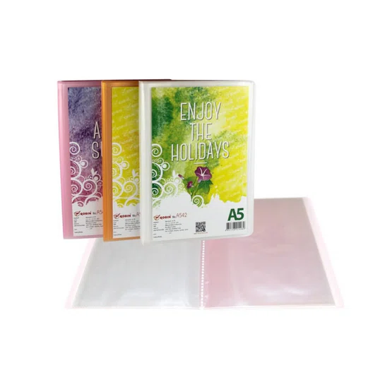 Robin แฟ้มสอดปก Display 20 ไส้ A5 คละสี  No.542